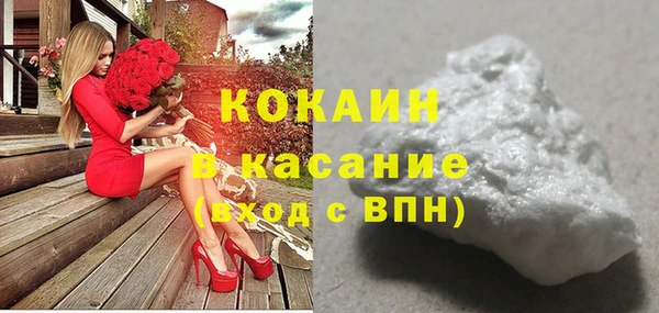 индика Михайлов